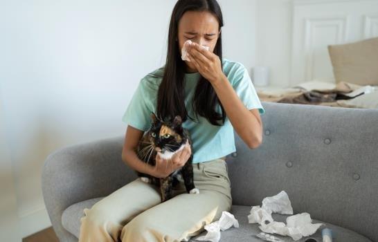  Cómo puedes librarte de los síntomas de la alergia a los gatos