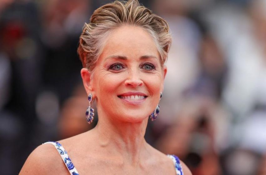  Qué es un tumor fibroide, la condición que afecta a Sharon Stone