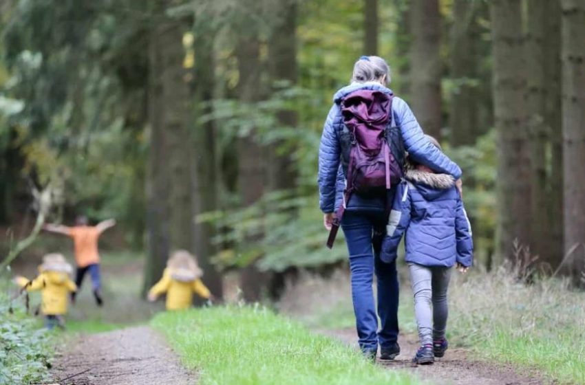  Caminatas terapéuticas, una forma de eliminar el estrés, la ansiedad y el agotamiento