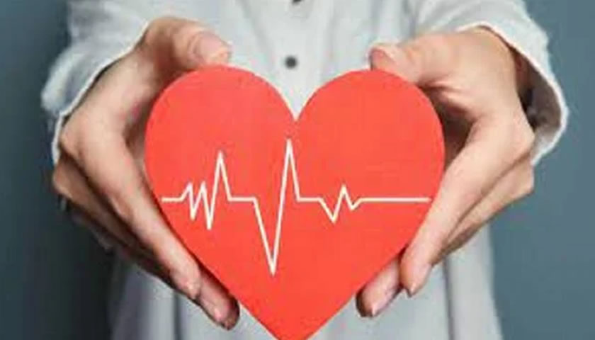  El periodo previo al embarazo es crítico para la salud cardiovascular